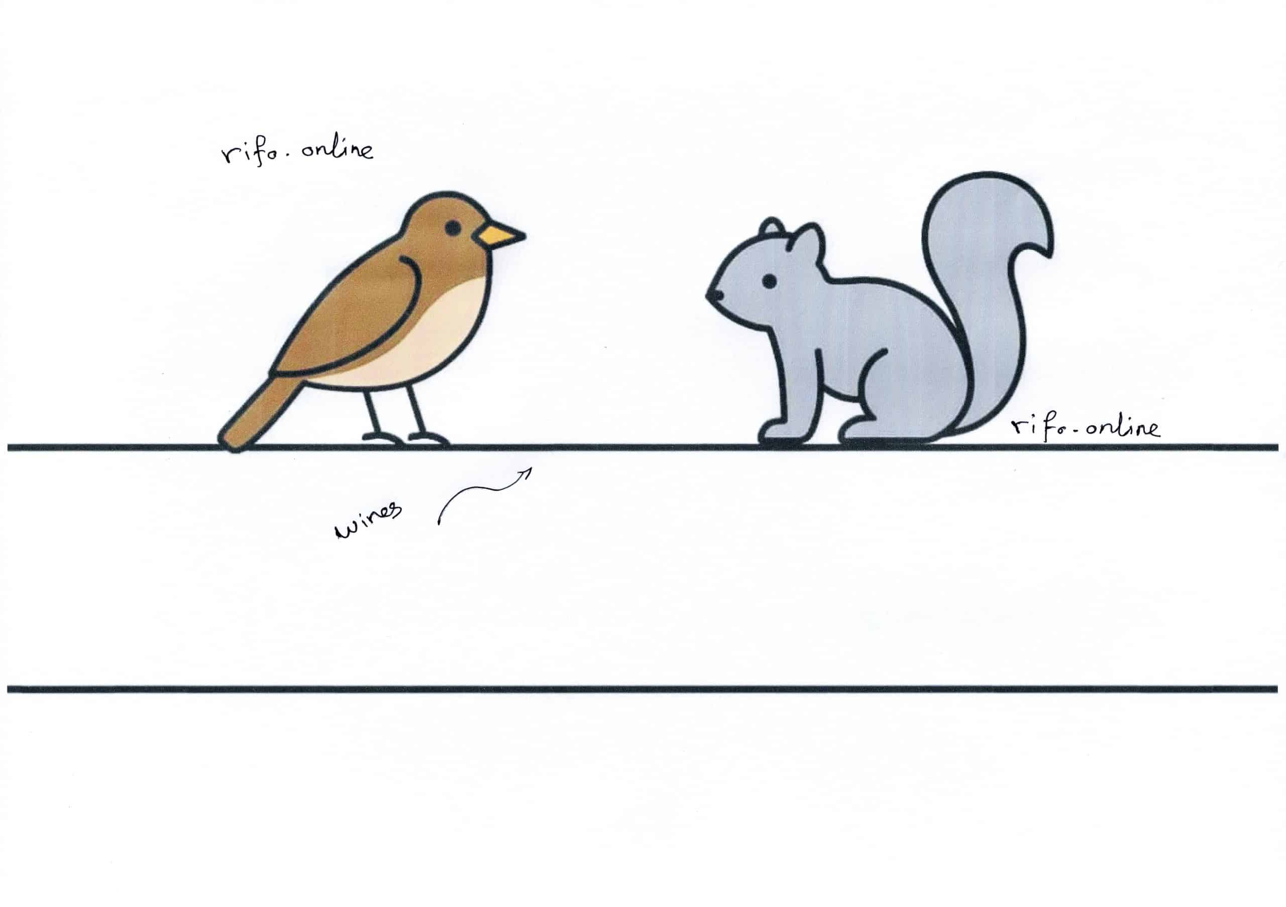 Why-Dont-Birds-and-Squirrels-Get-Electrocuted-on-Power-Lines2